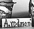 <i>Agaricus rodmani</i>